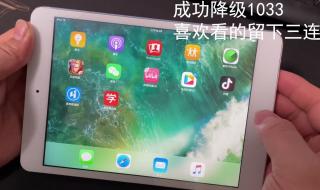 iPad怎么还原133版本