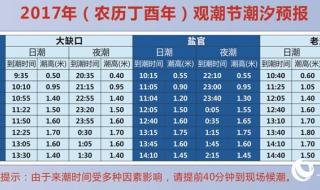 2023年8月曹妃甸赶海最佳时间 2023赶海潮汐时间表