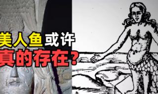 美人鱼又叫什么 美人鱼化石图片