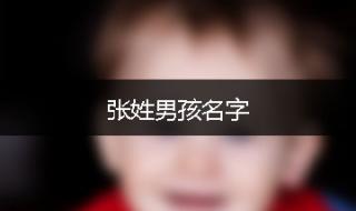 张姓取名男孩名字大气 张姓男孩名字大全